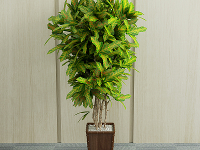 Modern potted green plant model