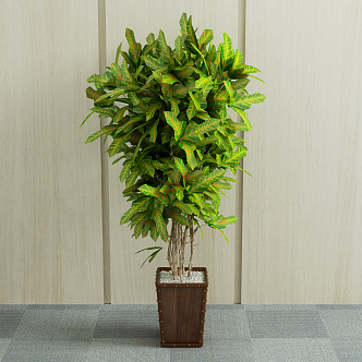 Modern potted green plant 3d model