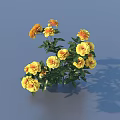 Yellow And Orange Flowers With Green Leaves In Vase Against Light Blue Background