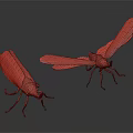 Colorful Insect Models with Green Yellow Patterned Wings Red Bodies Legs on Black Smooth Surface