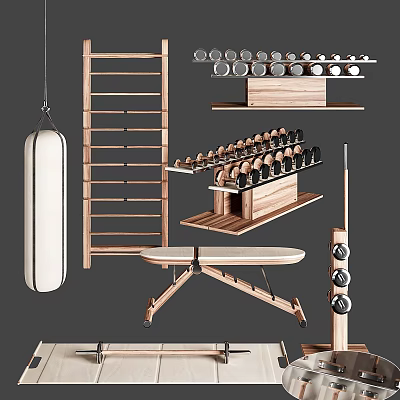 Sports Equipment Including Punching Bag Wooden Ladder Dumbbell Rack Dumbbells And Training Bench For Home Use 3d model