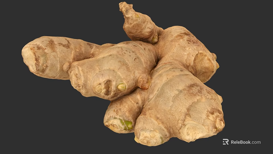 Detailed Ginger Plant Painting Artwork For Natural Home Decor Design 3d model 
