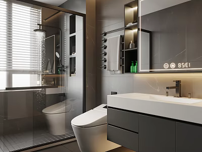 Modern Bathroom Interior Design With Glass Shower White Toilet Vanity And Gray Cabinets 3d model