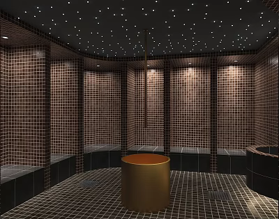 Modern Shower Sauna Interior With Brown Tiles Golden Bucket And Starry Ceiling Design 3d model