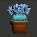 Crystal Like Blue Succulent Plant In Orange Terracotta Pot With White Base
