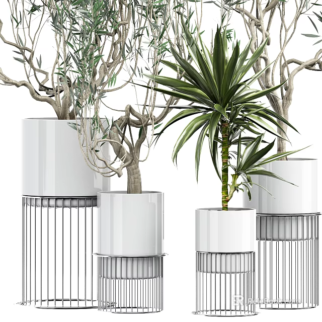 Bonsai Potted Plants In White Pots With Metal Stands For Indoor Decorative 3d model 