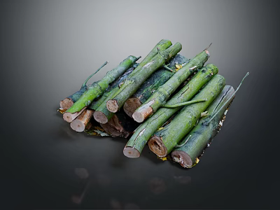 Stacked Green Wood Logs With Natural Bark And Rustic Look In Dark Background 3d model