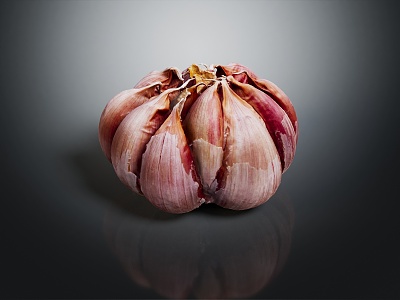 Modern Garlic Vegetables 3d model