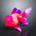 Vibrant Goldfish With Red Pink Body Purple Fins And Bulbous Head On Dark Background