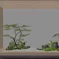 Indoor Plant Combination With Small Trees Ferns And Natural Stones Against Minimalist Wall