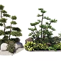 Arbor Trees With Decorative Stones And Green Plants In Garden Landscape