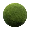 Moss Plant Combination With Green Moss Wall And Decorative Moss Ball