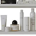 Stylish Bathroom Accessories With Bottles Towels Plants And Storage Shelves On Shelves