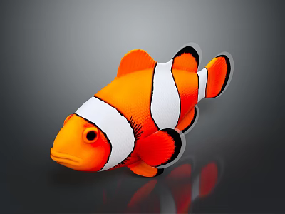 Vibrant orange and white striped clownfish with black fins and reflection on gray background 3d model