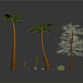 Various Types of Trees Including Palm Trees and Leafy Tree with Small Saplings and Stones