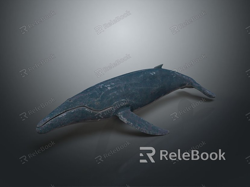 whale cartoon whale mammal marine mammal marine animal fish freshwater fish marine fish model