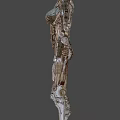 Human robot 3d model
