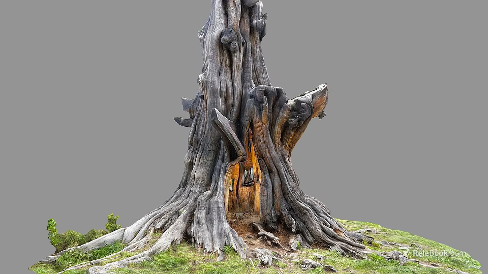 Rugged Ancient Tree With Exposed Roots And Tree Hollow In Grass 3d model 