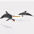 Two Dolphins Jumping Gracefully In Mid Air Showing Aquatic Animal Beauty