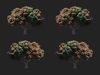 Ornamental Arbor Trees With Green And Red Foliage In Landscape Scenery 3d model