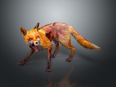 Fox Cartoon Fox Small Fox Cartoon Characters Cartoon Animals Cartoon Small Animals Game Characters model