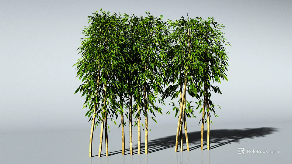 Tall Bamboo Plants With Lush Green Leaves In Natural Garden Scene 3d model 