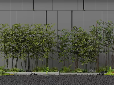 Lush Bamboo Plants Against Gray Wall With Small Plants Stones And Black Pebble Path 3d model