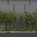 Lush Bamboo Plants Against Gray Wall With Small Plants Stones And Black Pebble Path