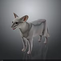 White Sphynx Cat With Blue Eyes Standing On Shiny Surface 3d model