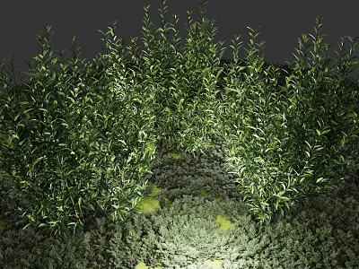 Lush Green Shrubs Thriving In Natural Garden With Low Growing Ground Cover Plants 3d model