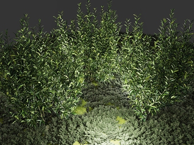 shrub garden landscaping plant park plant sketch plant ornamental plant 3d model