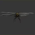 Black and Yellow Striped Dragonfly With Transparent Wings And Large Compound Eyes On Dark Background
