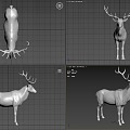 deer sika deer 3d model