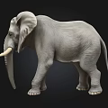 3D Rendered Elephant Model With Gray Skin And White Tusks Standing On Black Background