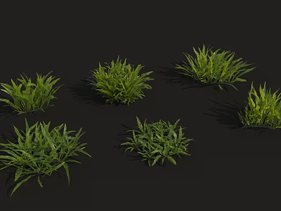 Modern Grass Fern 3d model
