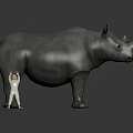 Giant Rhinoceros with Small Human Figure Standing Beside Showing Size Comparison on Gray Background