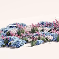 Colorful Flower Garden With Blue Pink And White Blooms In Dense Growth
