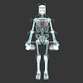 Male Skeleton Model With White Body Blue Hand And Foot Markers On Dark Background