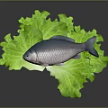 Fresh Silver Fish on Top of Green Crisp Lettuce Leaves as Healthy Seafood