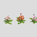 Colorful Flowering Plants With Various Colored Blooms And Green Leaves Arranged In Row