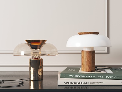 Modern table lamp model