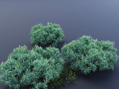 Healthy Green Shrubs With Lush Bushy Foliage And Natural Garden Appearance 3d model