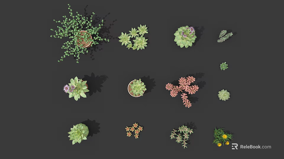 Various Succulent And Potted Plants With Colorful Flowers In Ceramic Pots 3d model 