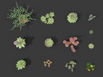 Various Succulent And Potted Plants With Colorful Flowers In Ceramic Pots 3d model
