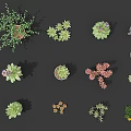 Various Succulent And Potted Plants With Colorful Flowers In Ceramic Pots