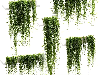 Decorative Ornament Set With Various Trailing Green Plants On White Shelves 3d model
