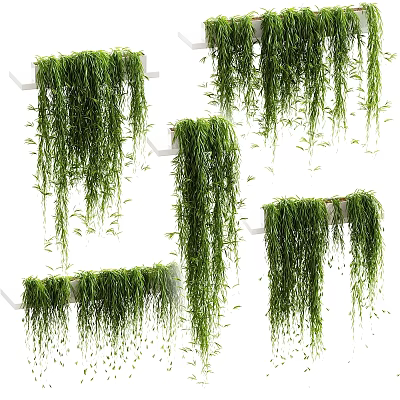 Decorative Ornament Set With Various Trailing Green Plants On White Shelves 3d model