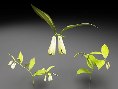 Green Leafy Plant With White Bell Shaped Flowers On Dark Background 3d model