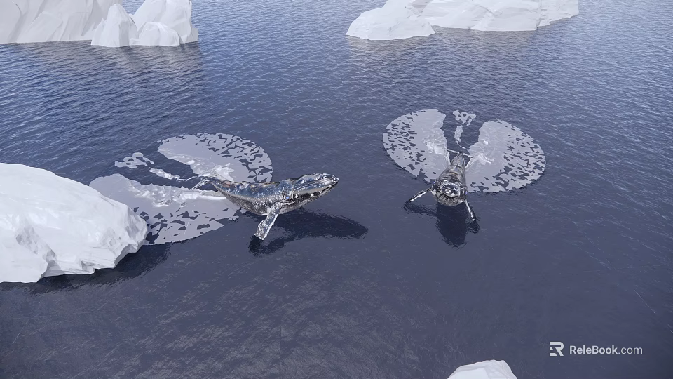 Two Whales Swimming Near Large Icebergs On Calm Ocean Surface 3d model 