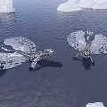 Two Whales Swimming Near Large Icebergs On Calm Ocean Surface